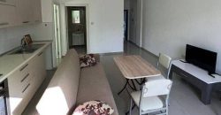 1+1 Apartment in Karaolanoğlu