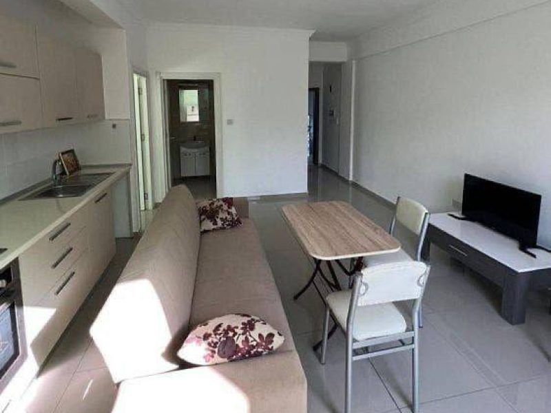 1+1 Apartment in Karaolanoğlu