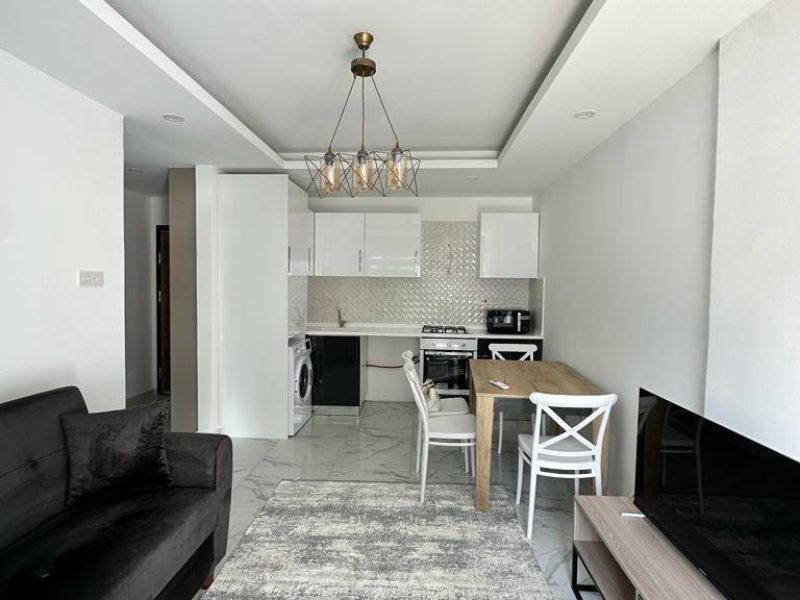 1+1 Apartment in Alsancak